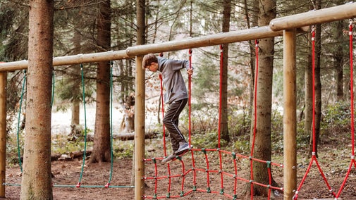 Playground in Comer Woods on the Dudmaston Estate in Shropshire